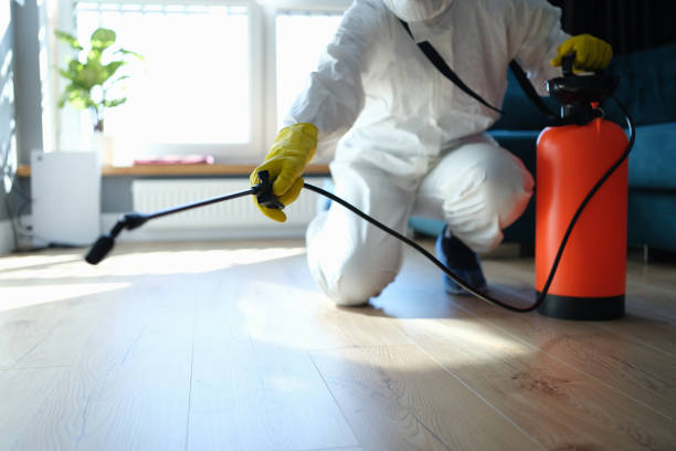 Reliable Biohazard contractor in Seville, FL by Crime Scene Cleaner Online